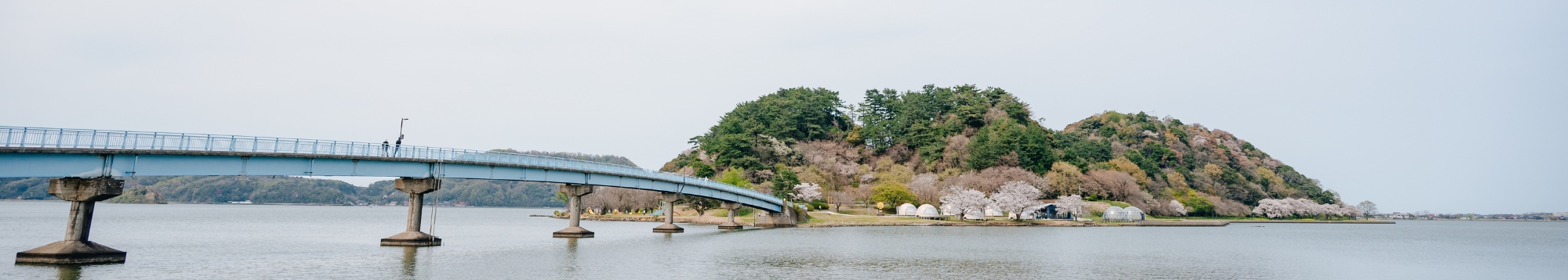 アースステイ青島